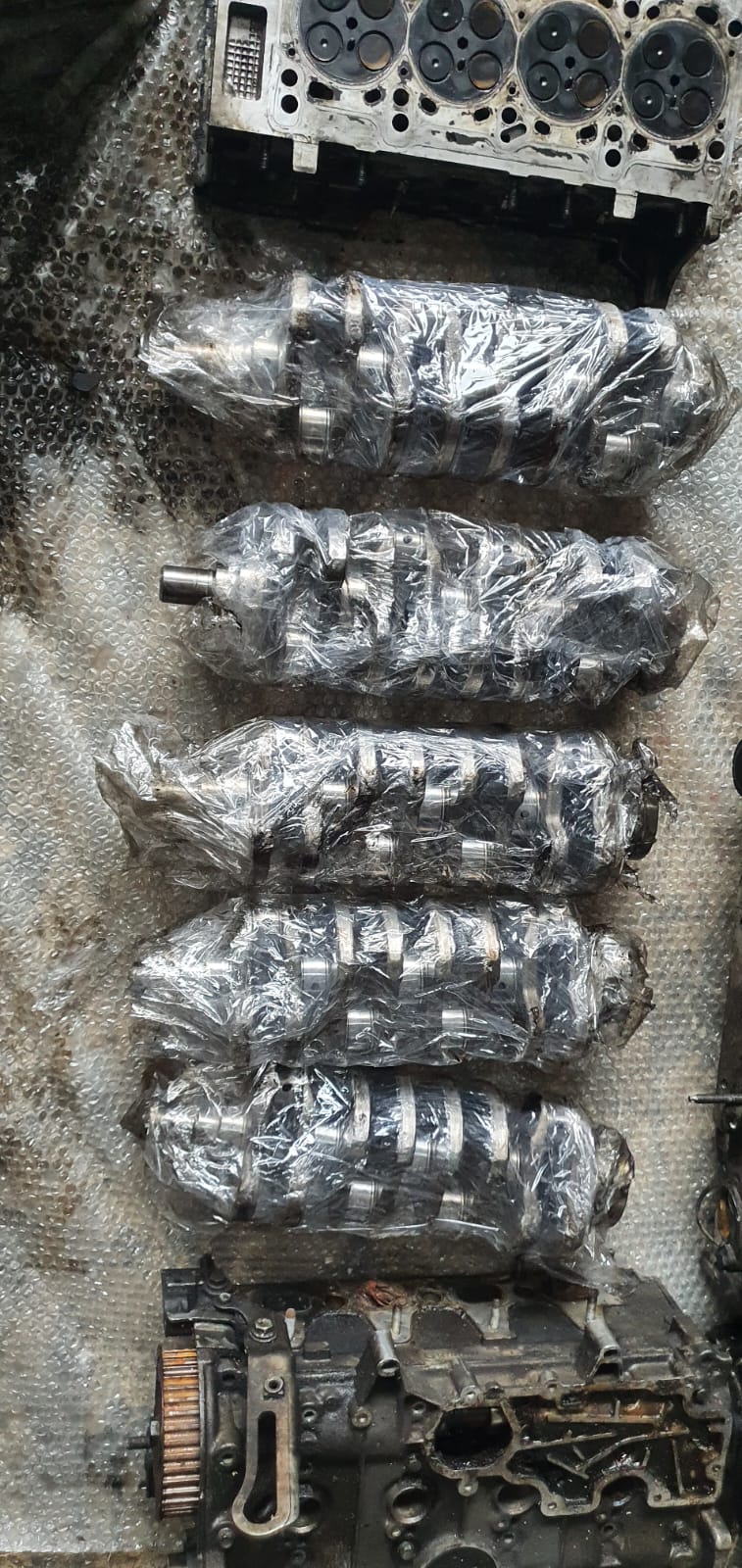 1 3 krank-1 3 doblo krank-1 3 albea krank-1 3 egea krank-1 3 fiorino krank-1 3 palio krank-1 3 linea krank